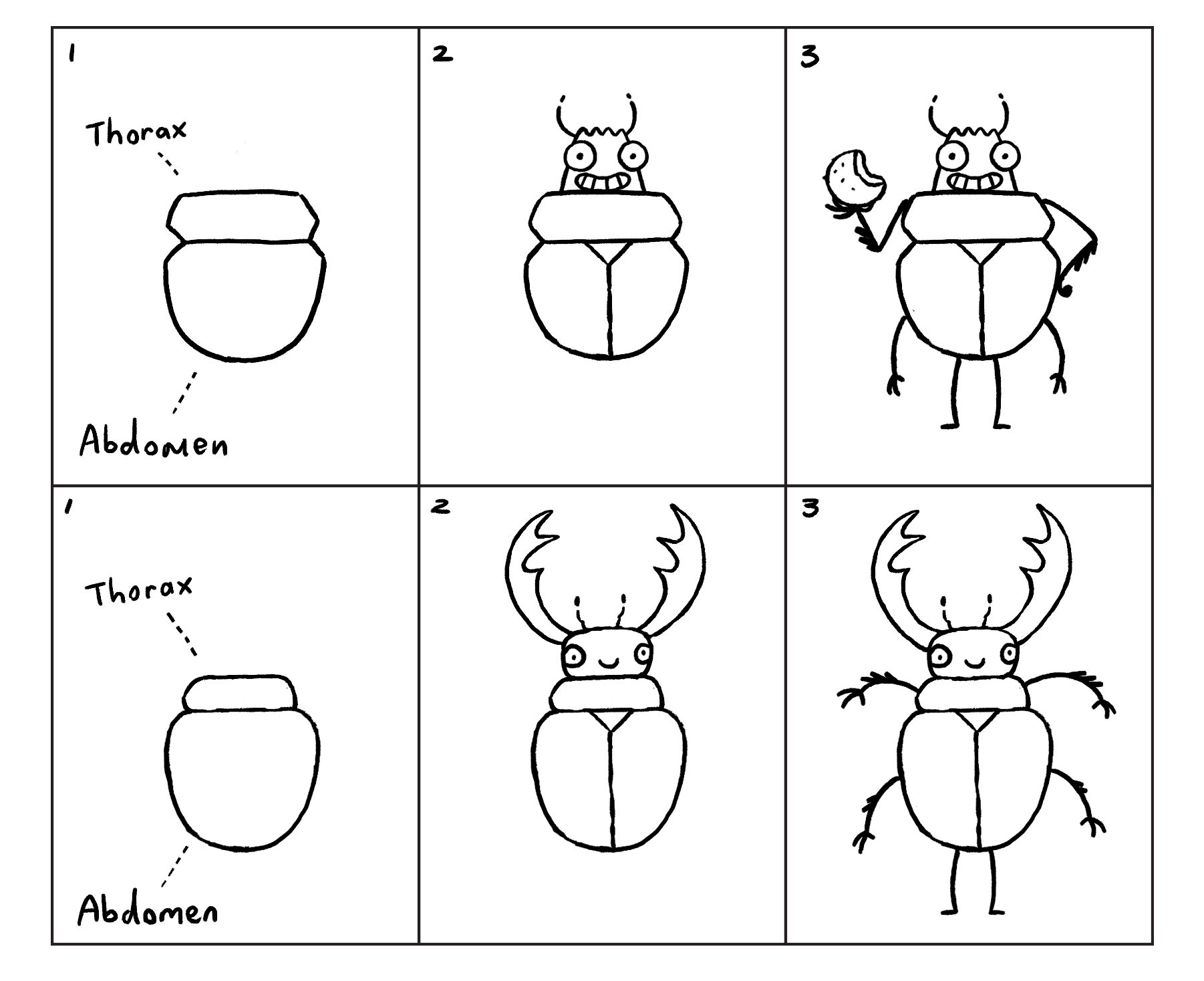 How to draw a dung beetle