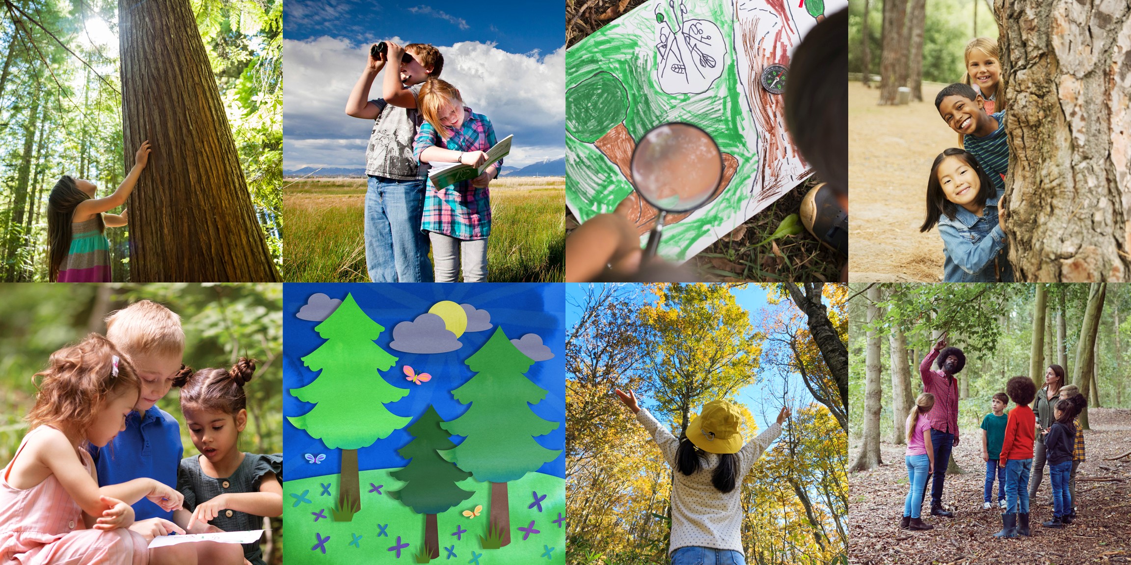 Mosaic of tree-related images.