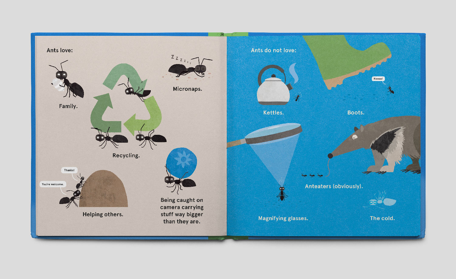 Illustrations of ant activities