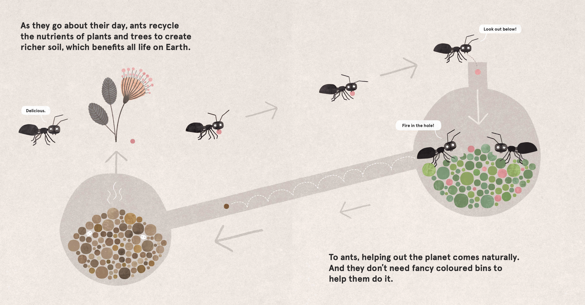 Illustration of how ants recycle nutrients